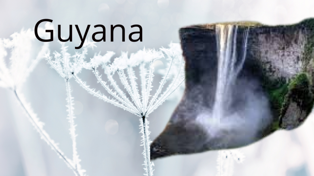 PM Narendra Modi’s Historic Visit to Guyana:Stregnthning Ties in Energy,Economy and Culture