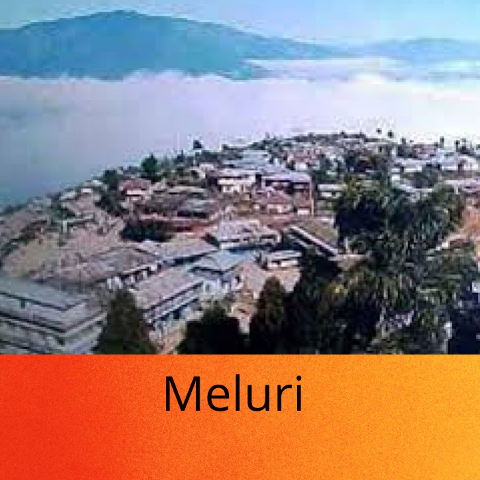 Meluri